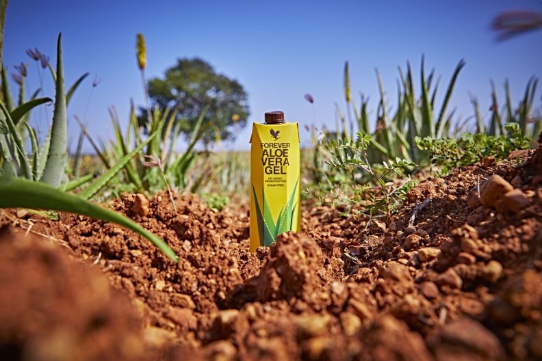 Aloe Vera - Erfolg mit Herz! - Kirchdorfer - Leben im Einklang