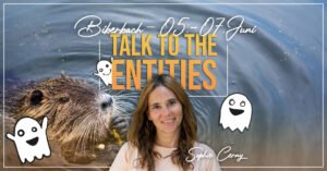 Talk To The Entities Biberbach