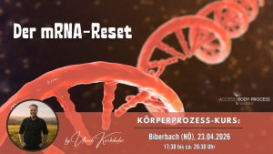 koerperprozess_biberbac